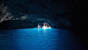 immagine whatsapp 2023 05 15 ore 111334